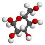 le glucose