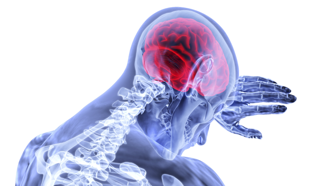 le café pour le cerveau